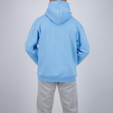 ARCTIC ENT HOODIE