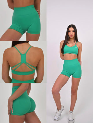 PALM COVE HOLIDAY BUNDLE