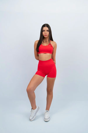 ROSE SEAMLESS BUNDLE