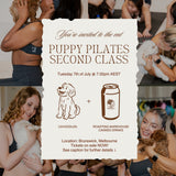 EARLY RELEASE PUPPY PILATES EVENT IN BRUNSWICK (TUESDAY 7th JULY 7:30PM CLASS)
