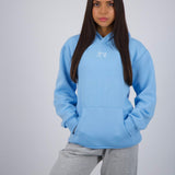ARCTIC ENT HOODIE