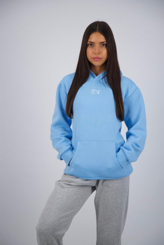 ARCTIC ENT HOODIE