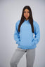 ARCTIC ENT HOODIE