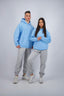 ARCTIC ENT HOODIE