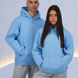 ARCTIC ENT HOODIE